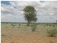 ‘ Burkobulla ‘, Quilpie QLD 4480