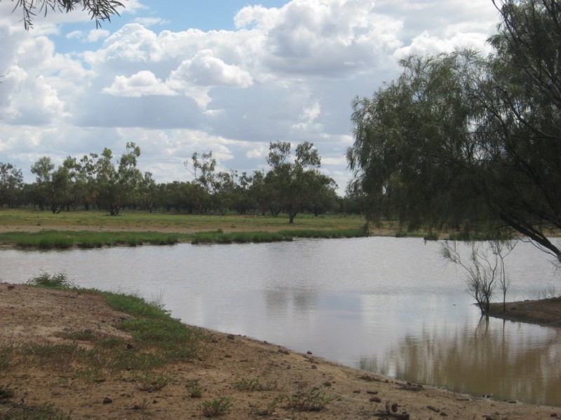‘ Burkobulla ‘, Quilpie QLD 4480