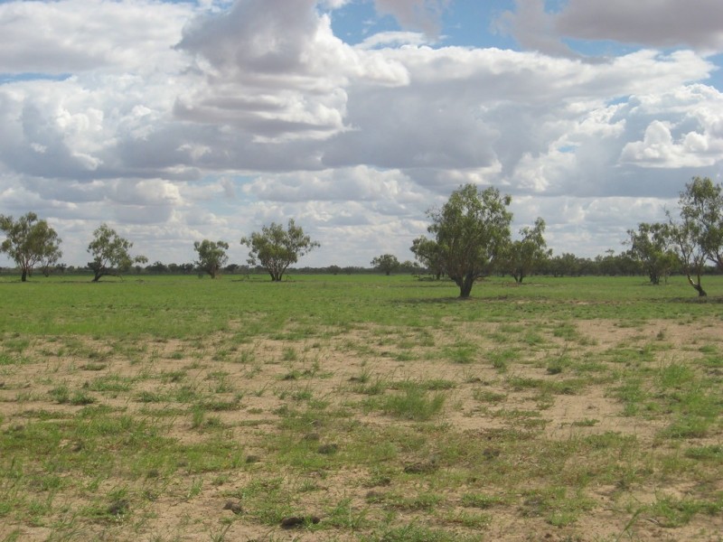 ‘ Burkobulla ‘, Quilpie QLD 4480