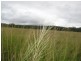 ” Morning Hills “, Murgon QLD 4605