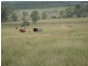 ” Morning Hills “, Murgon QLD 4605