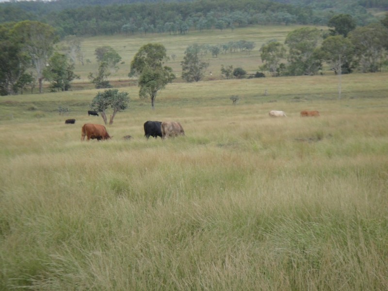 ” Morning Hills “, Murgon QLD 4605