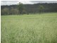 ” Morning Hills “, Murgon QLD 4605