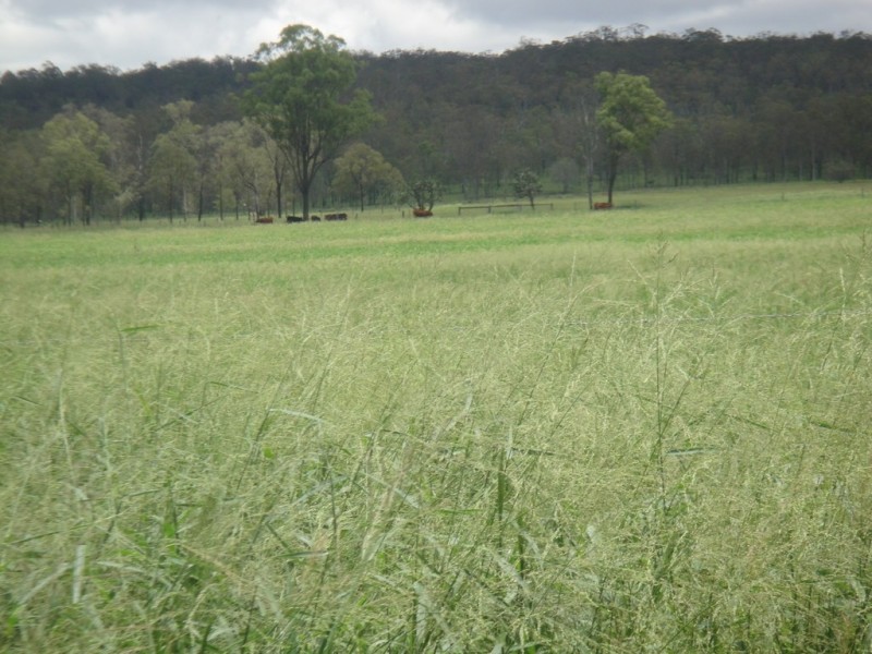 ” Morning Hills “, Murgon QLD 4605