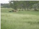 ” Morning Hills “, Murgon QLD 4605