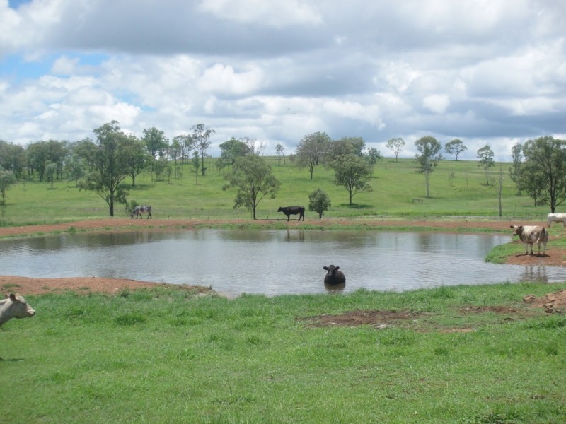 ” Morning Hills “, Murgon QLD 4605