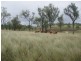” Morning Hills “, Murgon QLD 4605