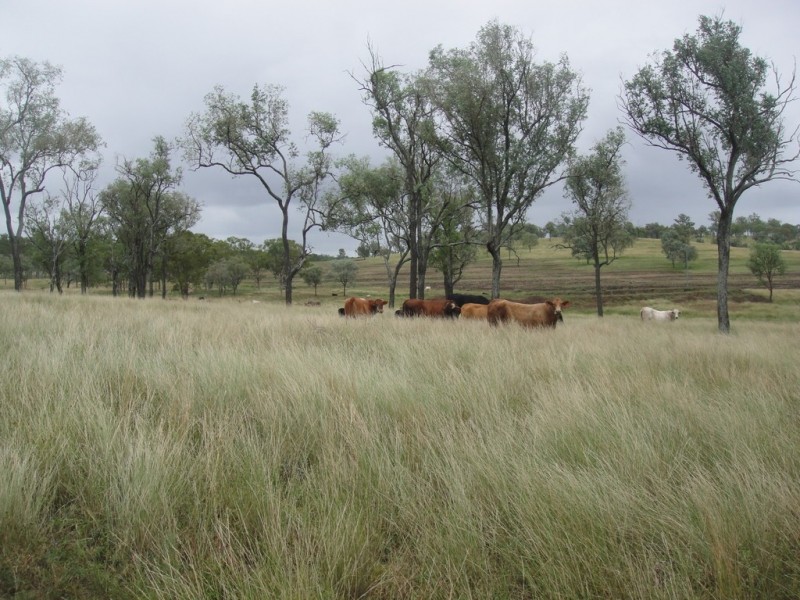 ” Morning Hills “, Murgon QLD 4605
