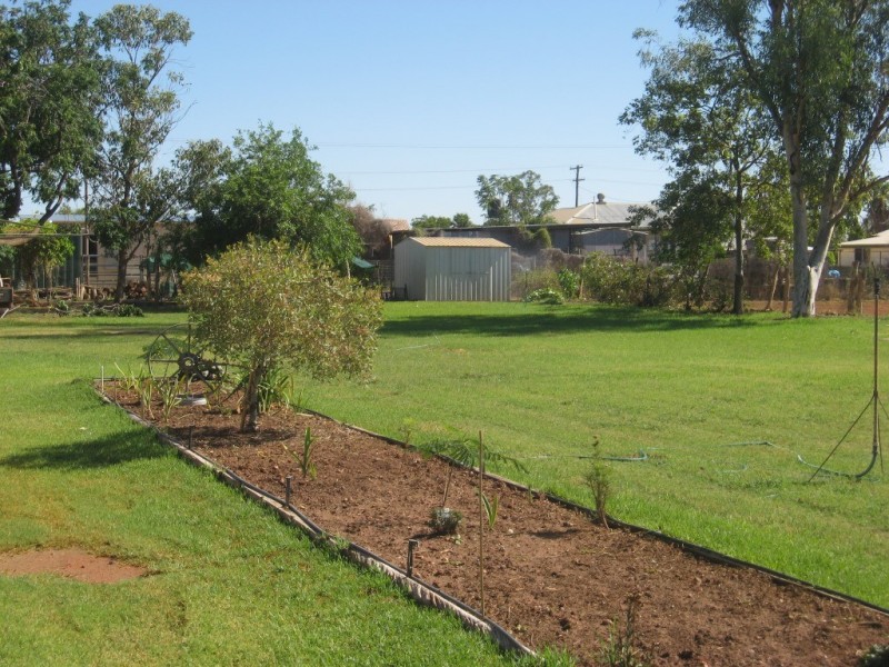 79 Jabiru Street, Quilpie QLD 4480