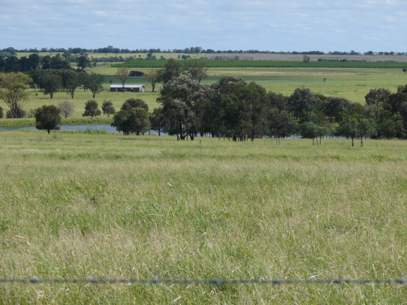 ” Allambie”, Wandoan QLD 4419