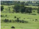 ” Allambie”, Wandoan QLD 4419