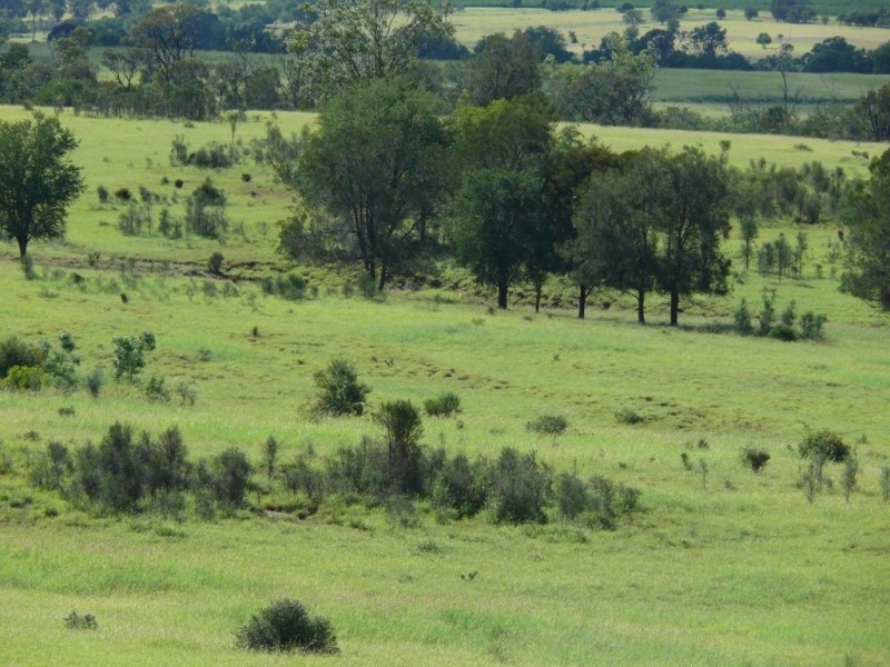 ” Allambie”, Wandoan QLD 4419