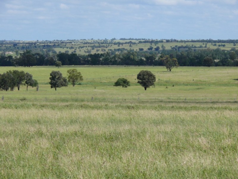 ” Allambie”, Wandoan QLD 4419