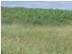 ” Allambie”, Wandoan QLD 4419