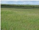 ” Allambie”, Wandoan QLD 4419