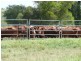 ” Allambie”, Wandoan QLD 4419