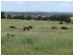 ” Allambie”, Wandoan QLD 4419