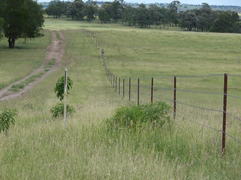 ” Allambie”, Wandoan QLD 4419