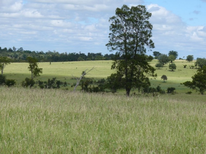 ” Allambie”, Wandoan QLD 4419