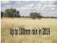 ” Mogera “, Quilpie QLD 4480