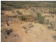 ” Mogera “, Quilpie QLD 4480