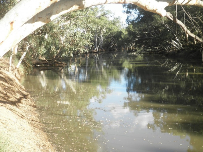 ” Mogera “, Quilpie QLD 4480
