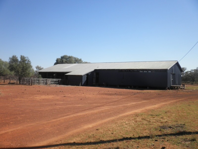 ” Mogera “, Quilpie QLD 4480