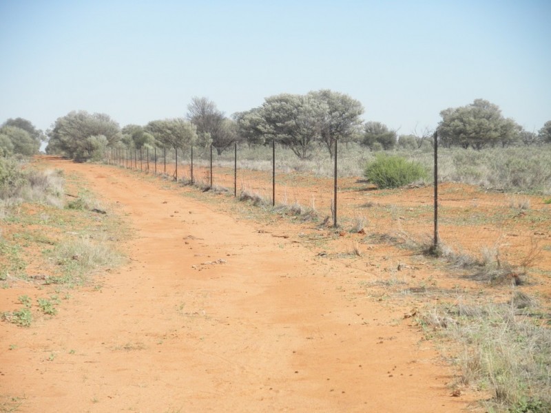” Mogera “, Quilpie QLD 4480