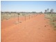 ” Mogera “, Quilpie QLD 4480