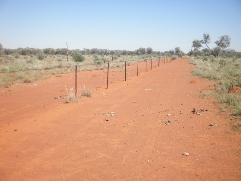 ” Mogera “, Quilpie QLD 4480