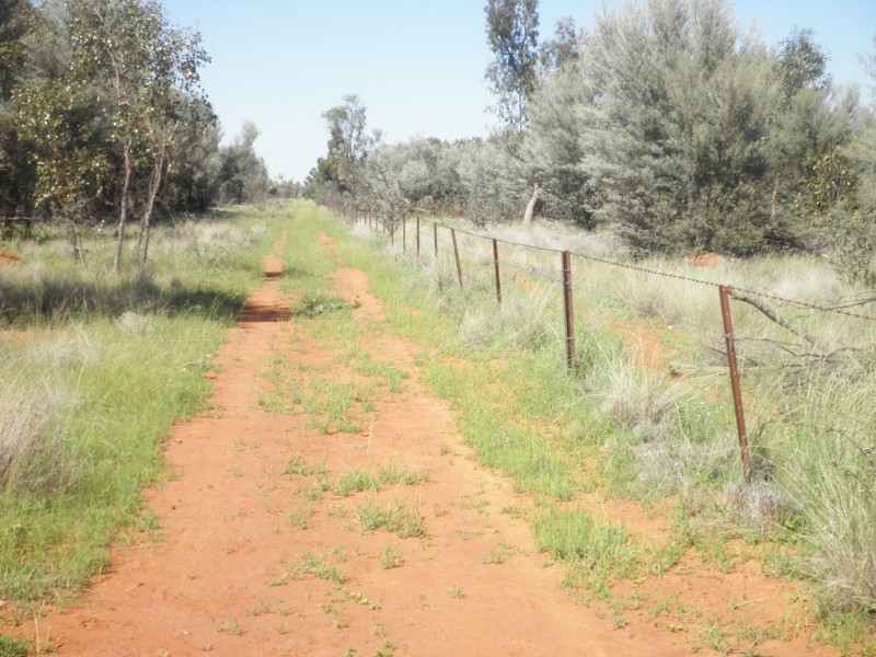 ” Mogera “, Quilpie QLD 4480