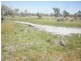 ” Mogera “, Quilpie QLD 4480