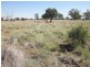 ” Mogera “, Quilpie QLD 4480
