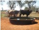 ” Mogera “, Quilpie QLD 4480