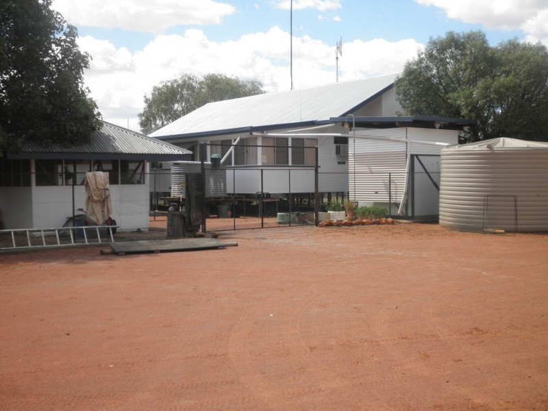 ” Mogera “, Quilpie QLD 4480