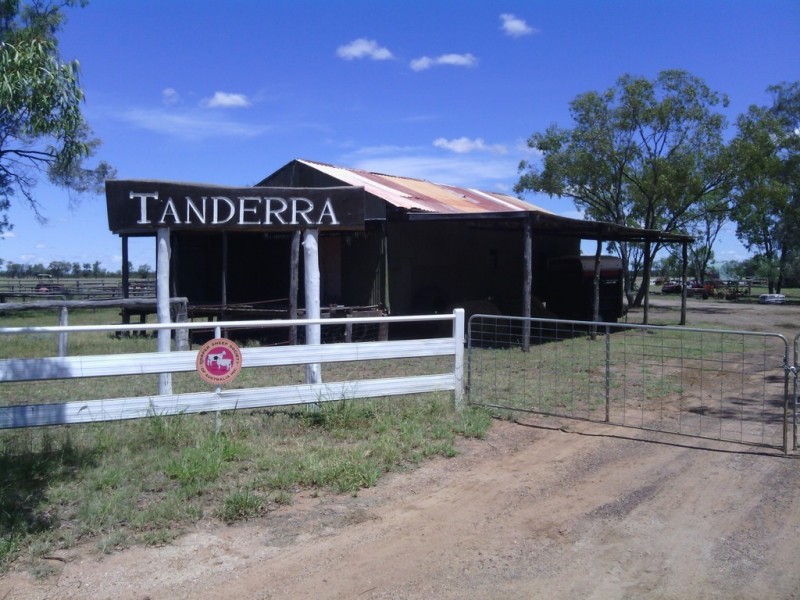 ” TANDERRA “, Glenmorgan QLD 4423