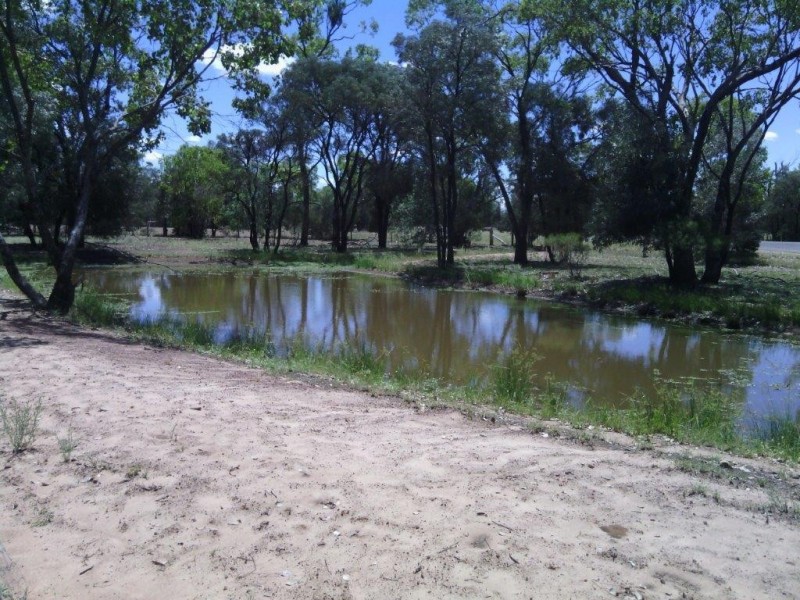 ” TANDERRA “, Glenmorgan QLD 4423