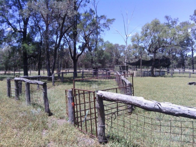 ” TANDERRA “, Glenmorgan QLD 4423
