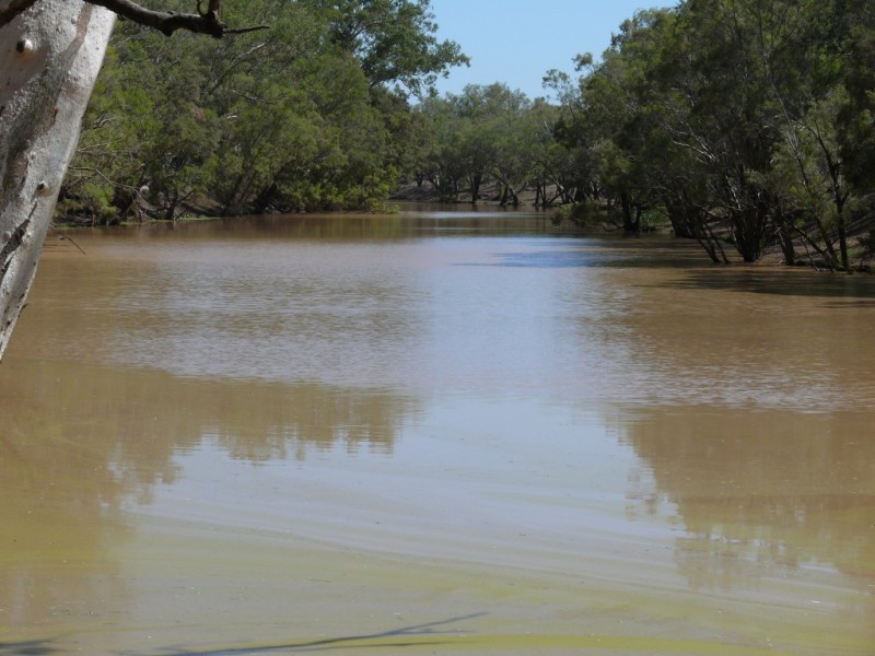 ” Basin Downs”, Surat QLD 4417
