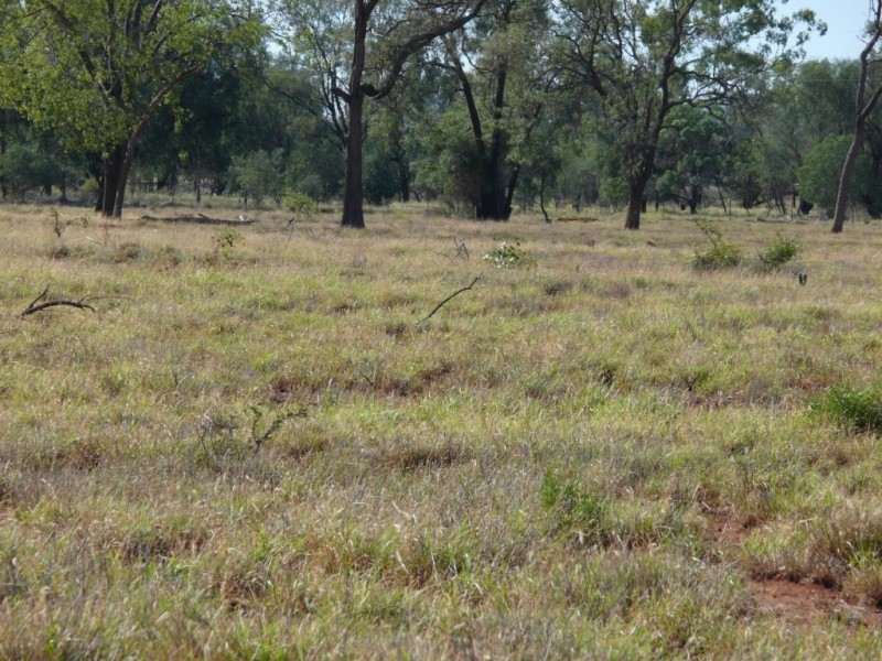” Basin Downs”, Surat QLD 4417