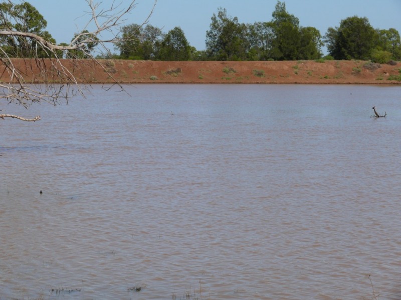 ” Basin Downs”, Surat QLD 4417