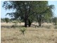 ” Basin Downs”, Surat QLD 4417