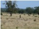 ” Basin Downs”, Surat QLD 4417