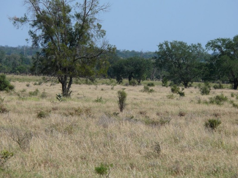 ” Basin Downs”, Surat QLD 4417