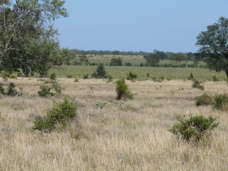 ” Basin Downs”, Surat QLD 4417