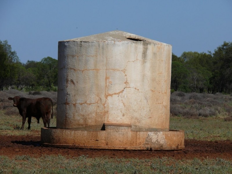 ” Basin Downs”, Surat QLD 4417