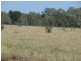 ” Basin Downs”, Surat QLD 4417