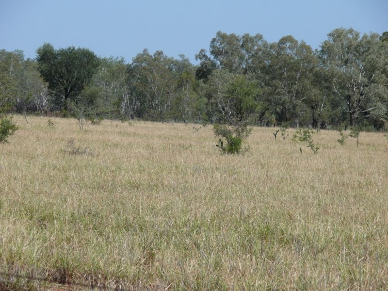 ” Basin Downs”, Surat QLD 4417