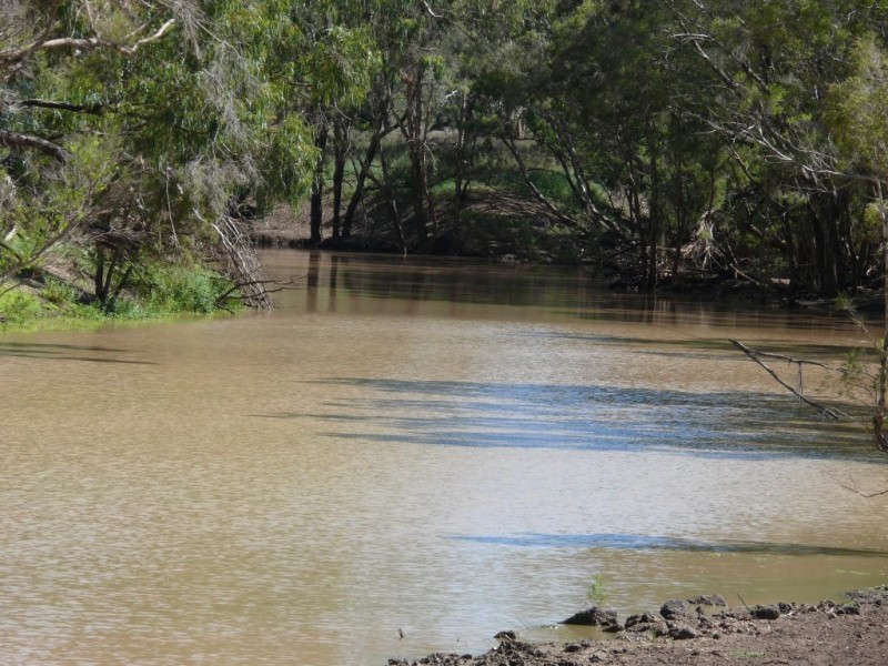 ” Basin Downs”, Surat QLD 4417