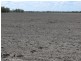 ” Basin Downs”, Surat QLD 4417